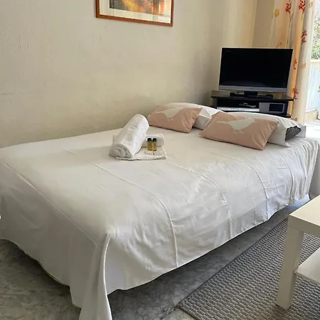 Renting Spacious 1 Bedroom In Center With A Parking Holiday home