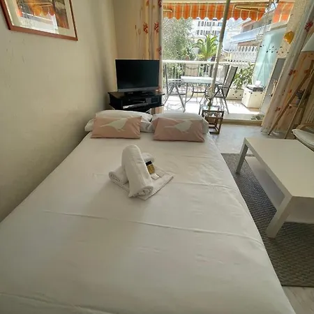 Renting Spacious 1 Bedroom In Center With A Parking * Antibes