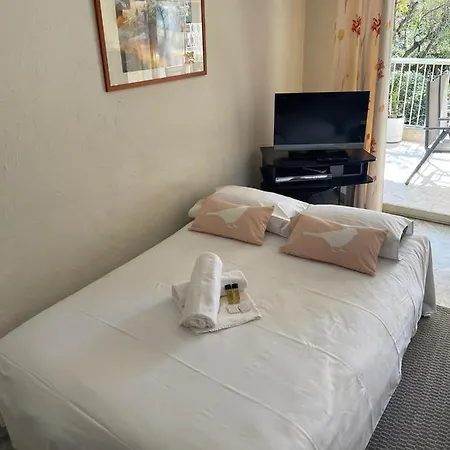 Renting Spacious 1 Bedroom In Center With A Parking * Antibes